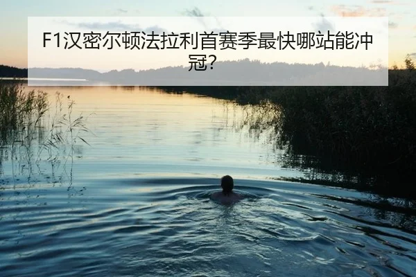 han-mi-er-dun-fa-la-li-shou-sai-ji-zui-kuai-na-zhan-neng-chong-guan-3-590.jpg